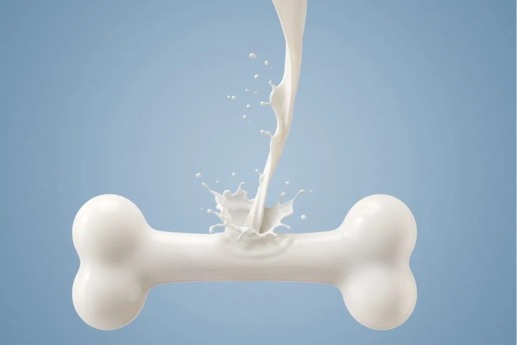 کلسیم نقش مهمی در حفظ سلامت استخوان‌ها دارد.